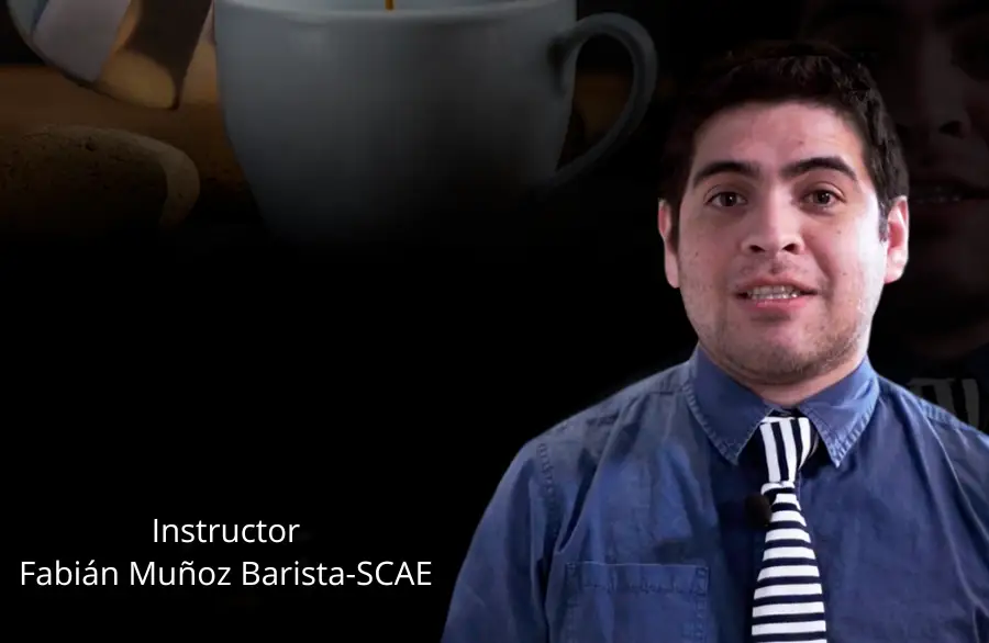 curso de barista online